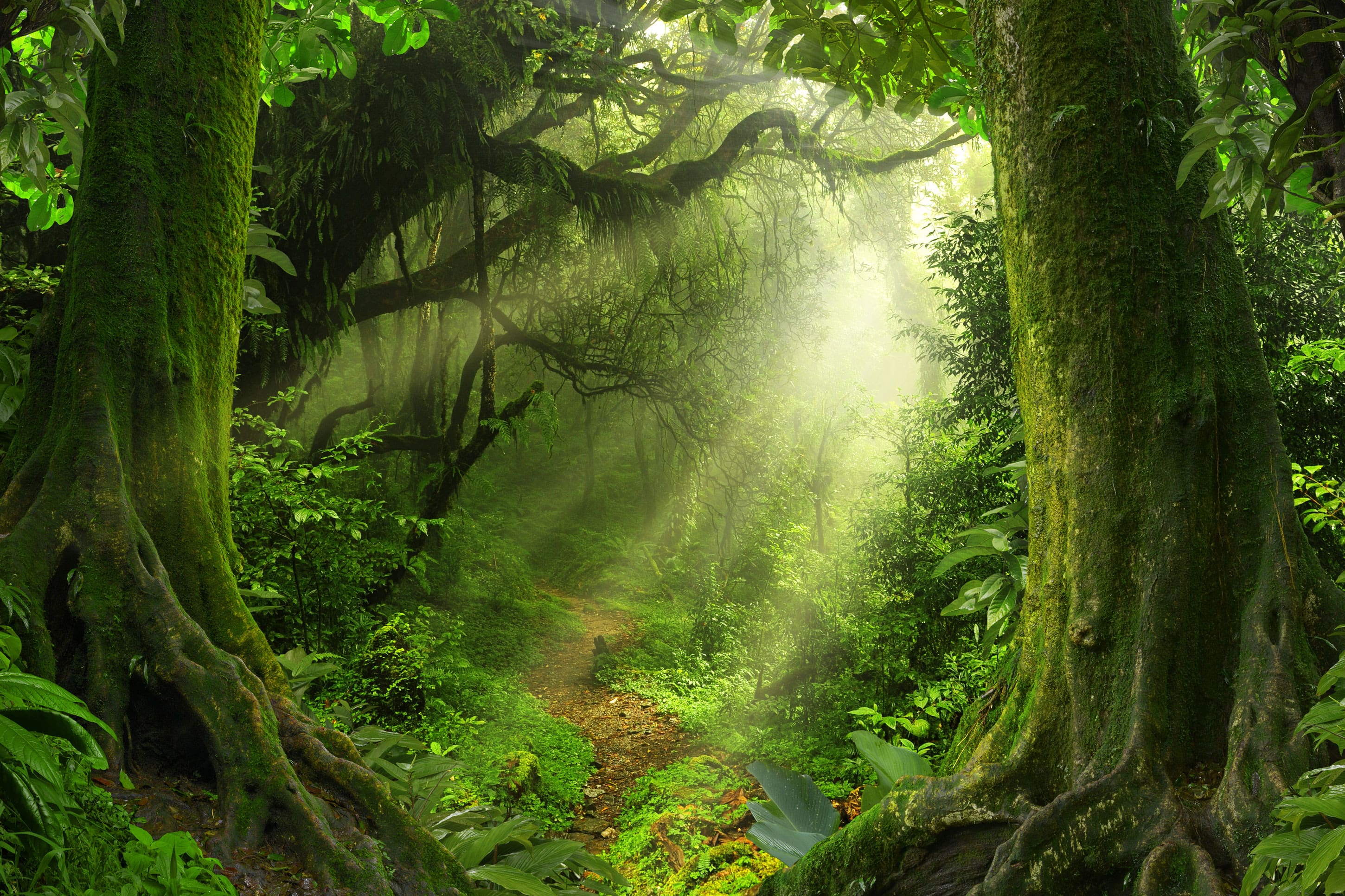 image landscape try out reticle holosun 8